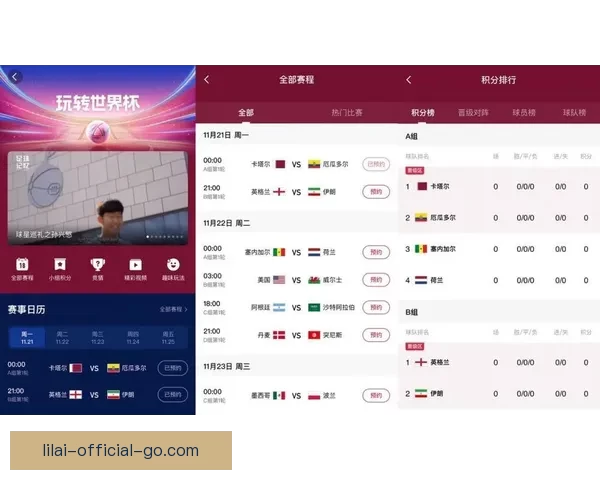 世界杯竞猜预测：精准分析球队表现助你赢得赛事投注大奖